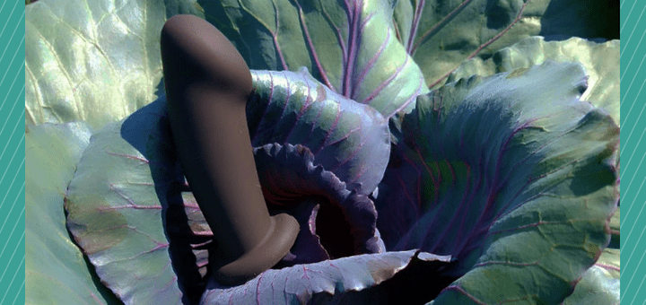 Blush Novelties Temptasia Elvira / Luxe Mio review