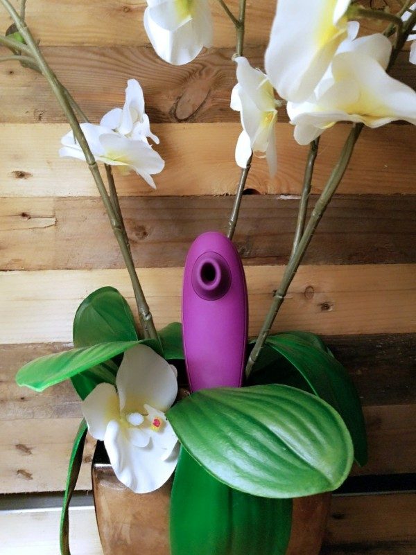 Womanizer Classic sex toy in flowers