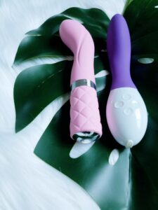 BMS Factory Pillow Talk Sassy and LELO Mona 2 button and control panel comparison