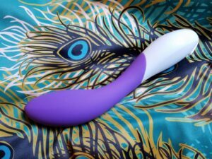 LELO Mona 2 luxury G-spot vibrator review (plus comparison to an affordable alternative) 6