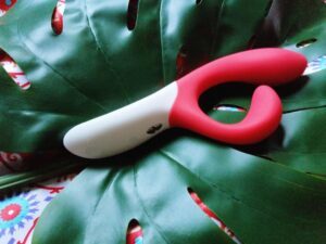 We-Vibe Nova review: rabbit vibrator with rumbly clitoral stimulator 5