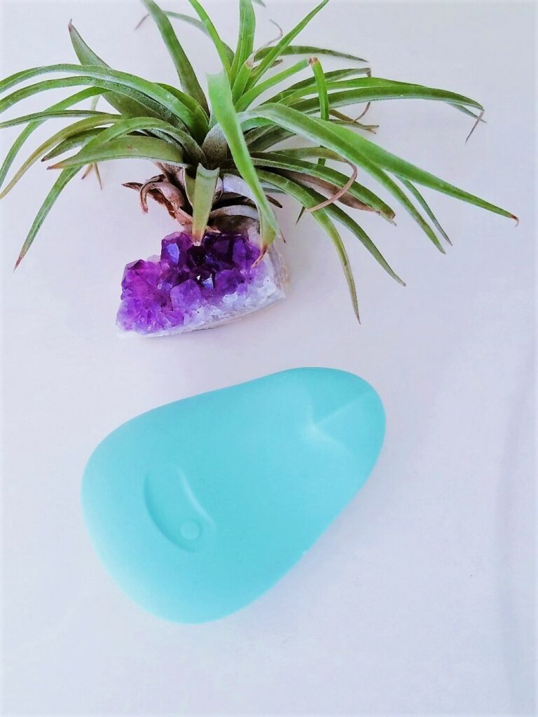 Dam Pom jade green couples' silicone vibrator next to amethyst and air plant