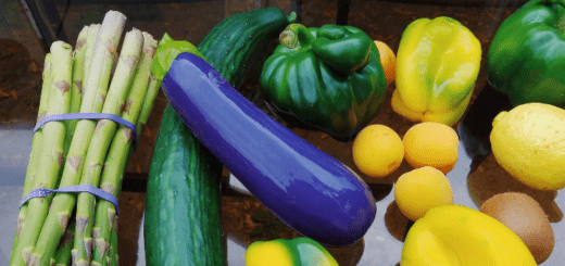 SelfDelve Aubergine / Eggplant girthy silicone dildo review 6