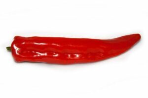 SelfDelve Aubergine / Eggplant girthy silicone dildo review 1