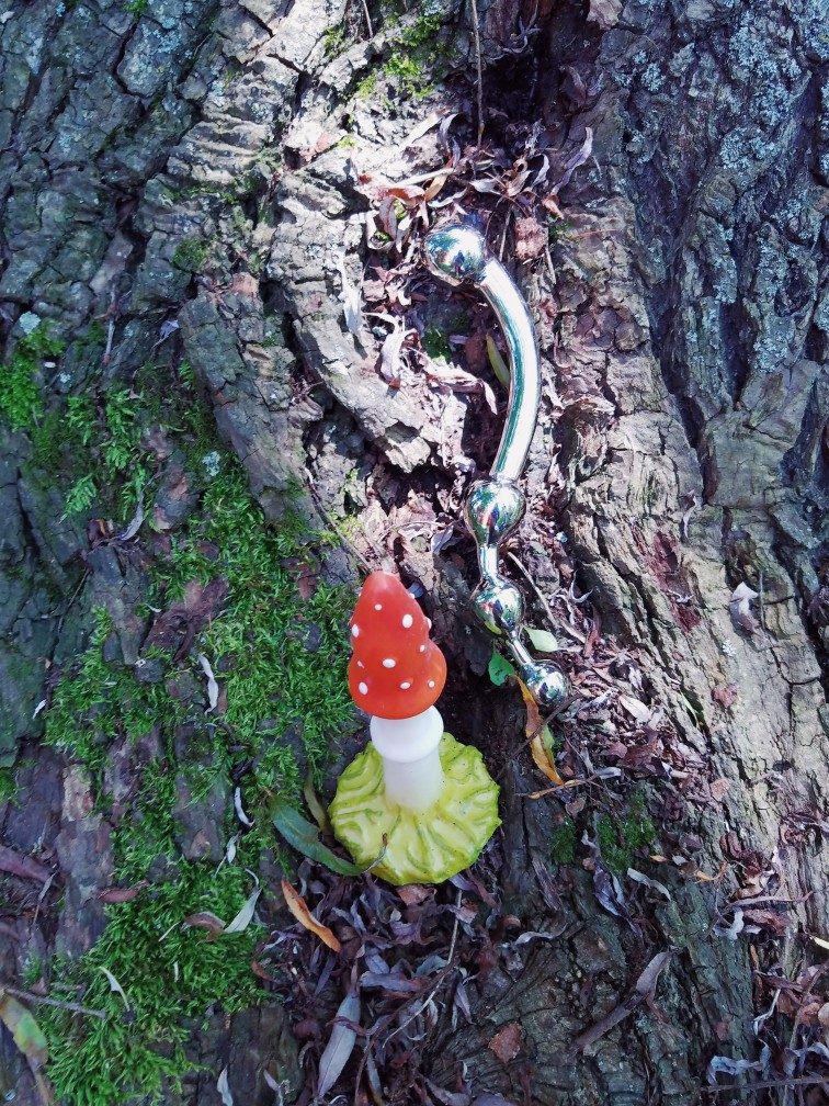 [Image: njoy Fun Wand stainless steel dildo next to Self Delve Fly Agaric mushroom]