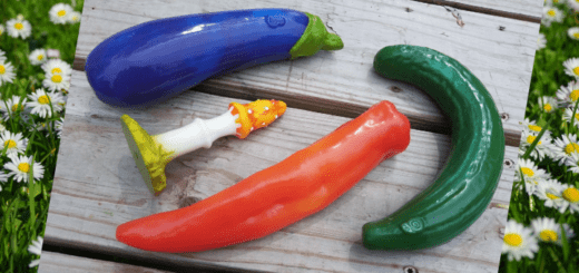 SelfDelve veggie dildo reviews: eggplant, curved cucumber, fly agaric mushroom, and pepper 9