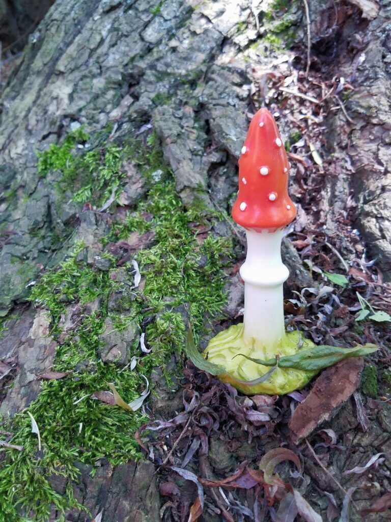 [Image: Fly Agaric / Amanita muscaria mushroom butt plug on tree bark and moss. It's red in this picture, but when warmed, turns yellow.]