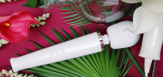Le Wand Rechargeable cordless massager / wand vibrator review 7