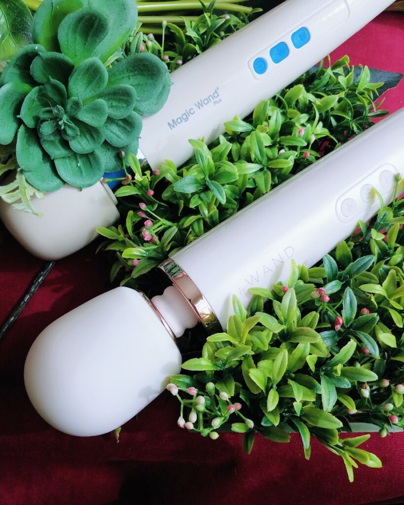 [Image: Magic Wand Plus controls next to white Le Wand Rechargeable among plant mat and succulent]