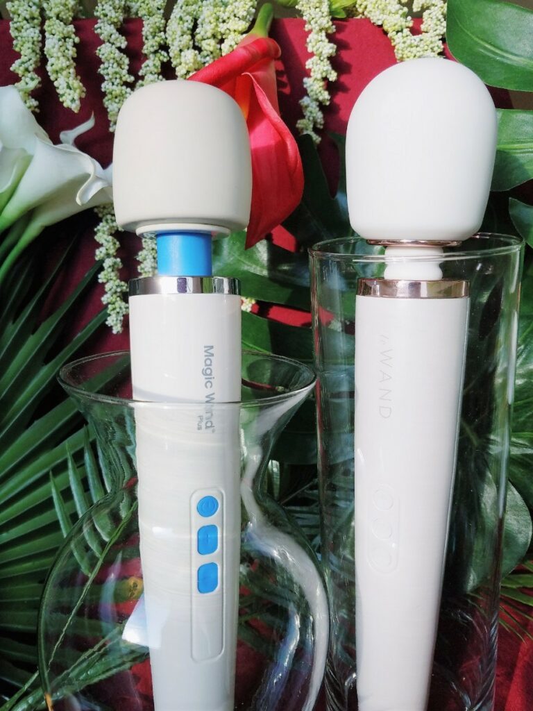 [Image: Magic Wand Plus and Le Wand Rechargeable side-by-side comparison. They look SUPER similar!]