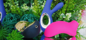 AW HELL NO: LELO Sona 2 Cruise & Soraya Wave reviews 5