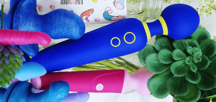 Romp Flip & Blush Nöje W4 rechargeable mini-wand reviews