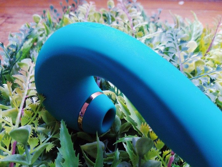 Review: Sohimi Clitoral Suction & Pulsing Rabbit Vibrator 2
