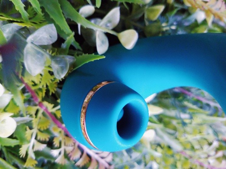 Review: Sohimi Clitoral Suction & Pulsing Rabbit Vibrator 6