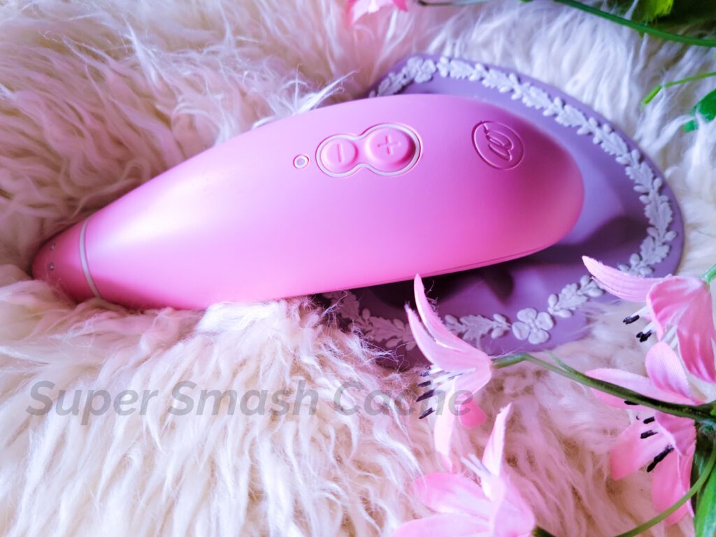 Womanizer Premium Eco controls & settings