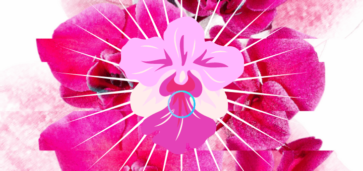 Are Creampies a Kink? Why Are People Into Them?