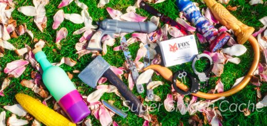 Midwest 'Murrikah SEX TOY GIVEAWAY! 6