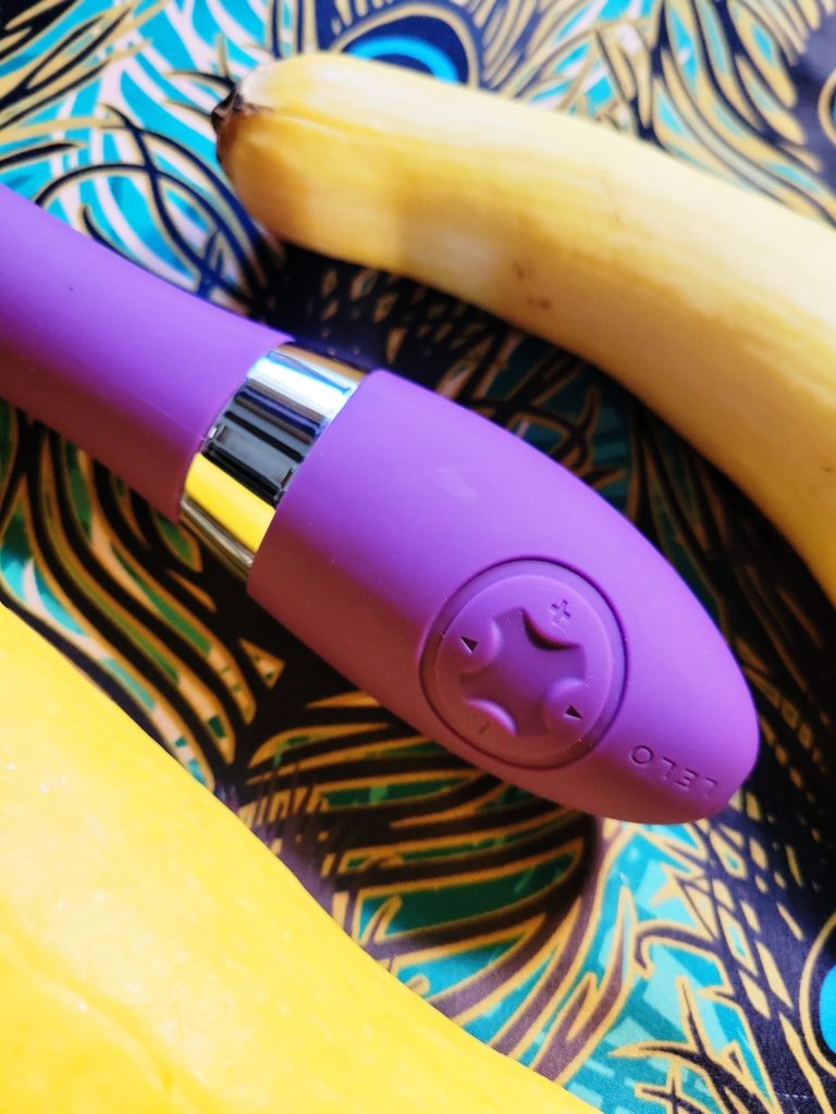 LELO Elise 2 vibrator control panel and handle metallic accent close-up