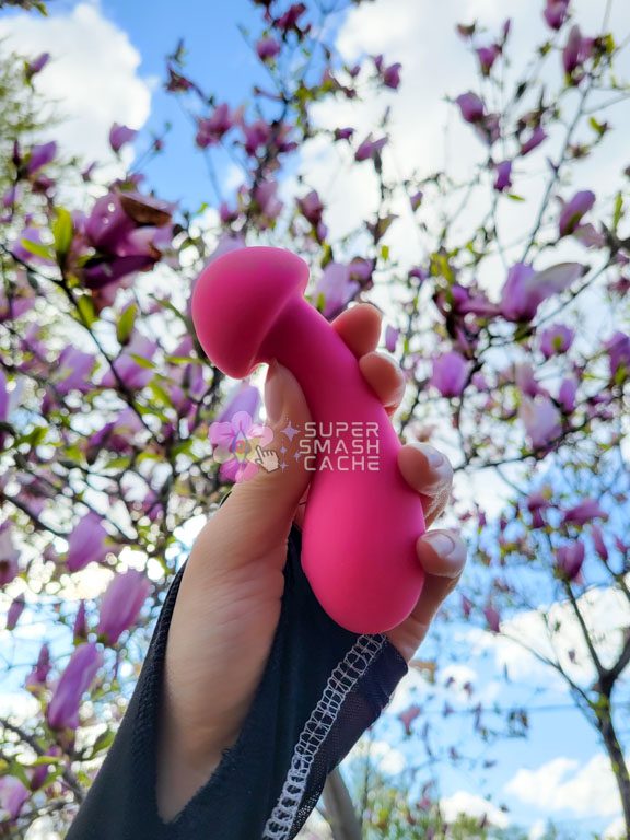 California Exotics Pixies Exciter discreet waterproof mushroom vibrator review
