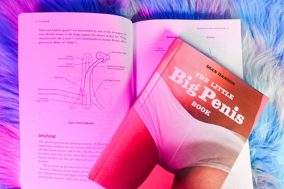 Little Big Penis Book by Dian Hanson and erection corpora diagram
