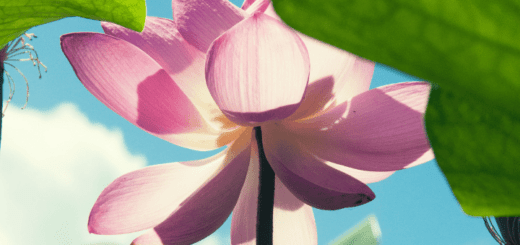 10 Comforting Statements For a Friend Who's Been Sexually Assaulted 7