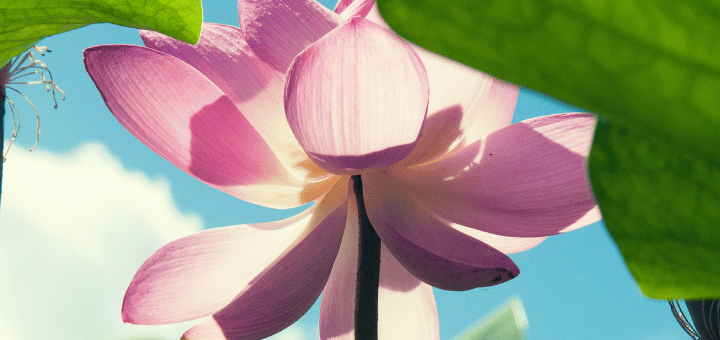 10 Comforting Statements For a Friend Who's Been Sexually Assaulted 9
