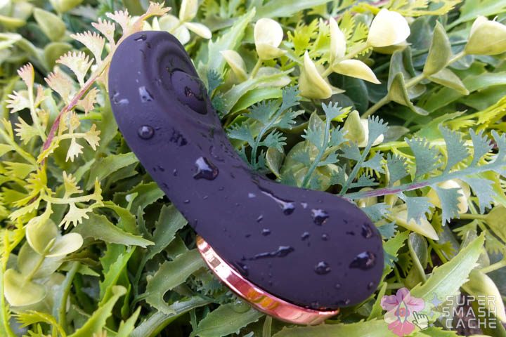 Satisfyer remote control panty vibrator
