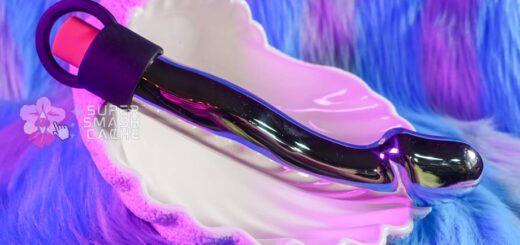 L'Acier Capo stainless steel dildo with bullet cavity / vibrator slot and removable finger loop