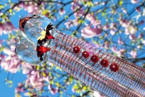 11 Ways Glass Dildos Changed My Sex Life 7