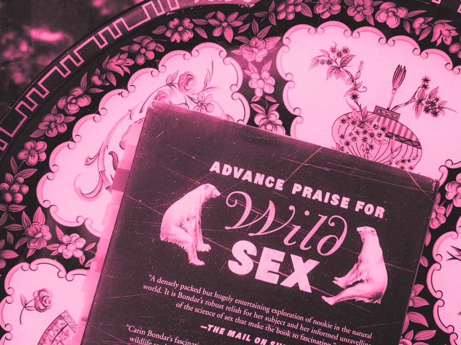 7 Ways Animal Mating Is Like Human Dating 3