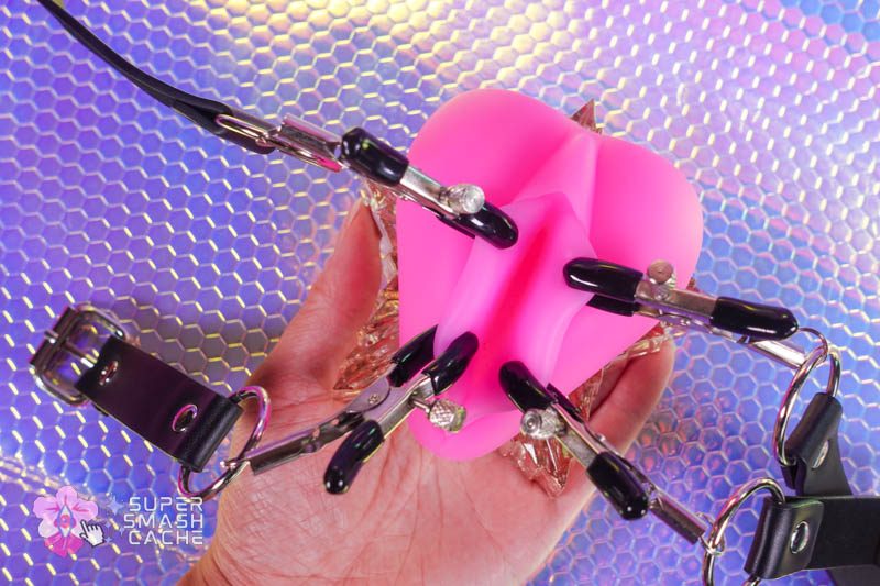 Funnze Clit Torture & Bondage Kit Review 10 labia spreading clips and straps