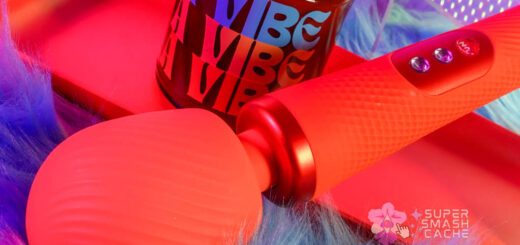 How the Fun Factory Vim Became My Favorite Cordless Wand 7