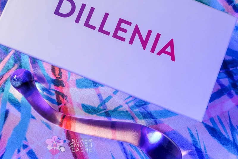 Dillenia Gama Review: 9.7" Glass Glizzy for Dreamy Deep Dicking 10 JimmyJane Dillenia Gama glass dildo and packaging