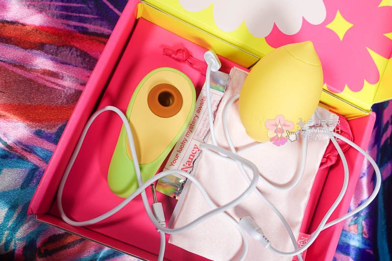 Nancy Avo & Lem Clit Toy Review: high performers or hype? 14 Hello Nancy Lem and Avo box with storage pouch and charging cords